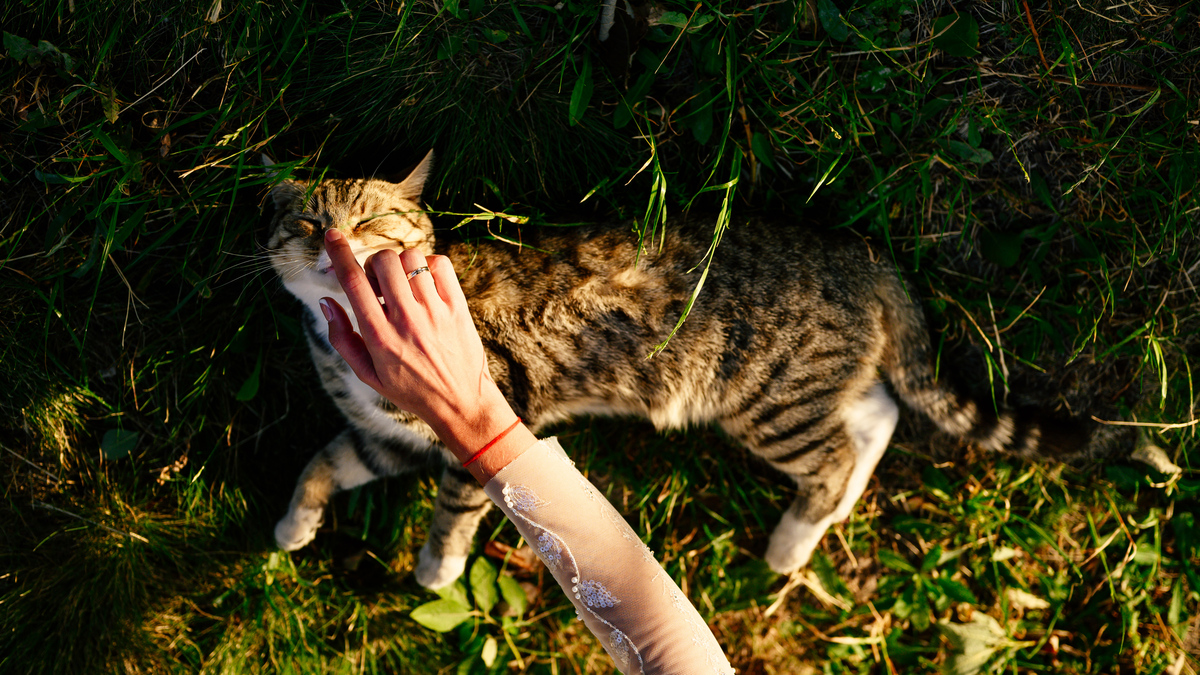 Фотограф Бешенцев Андрей, свадебный фотограф Курск, фотограф в Курске, свадебное фото, репортажная фотография, семейная фотосъемка
